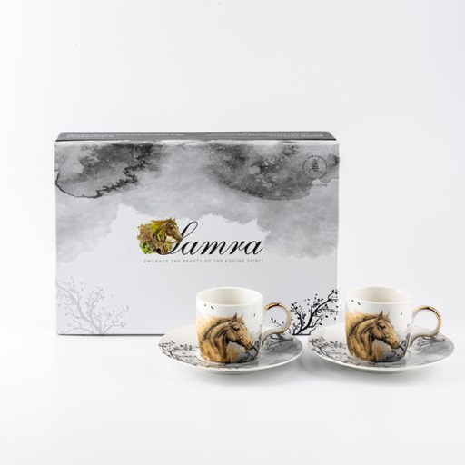 [GY1521] Porcelain Tea Set From Samra